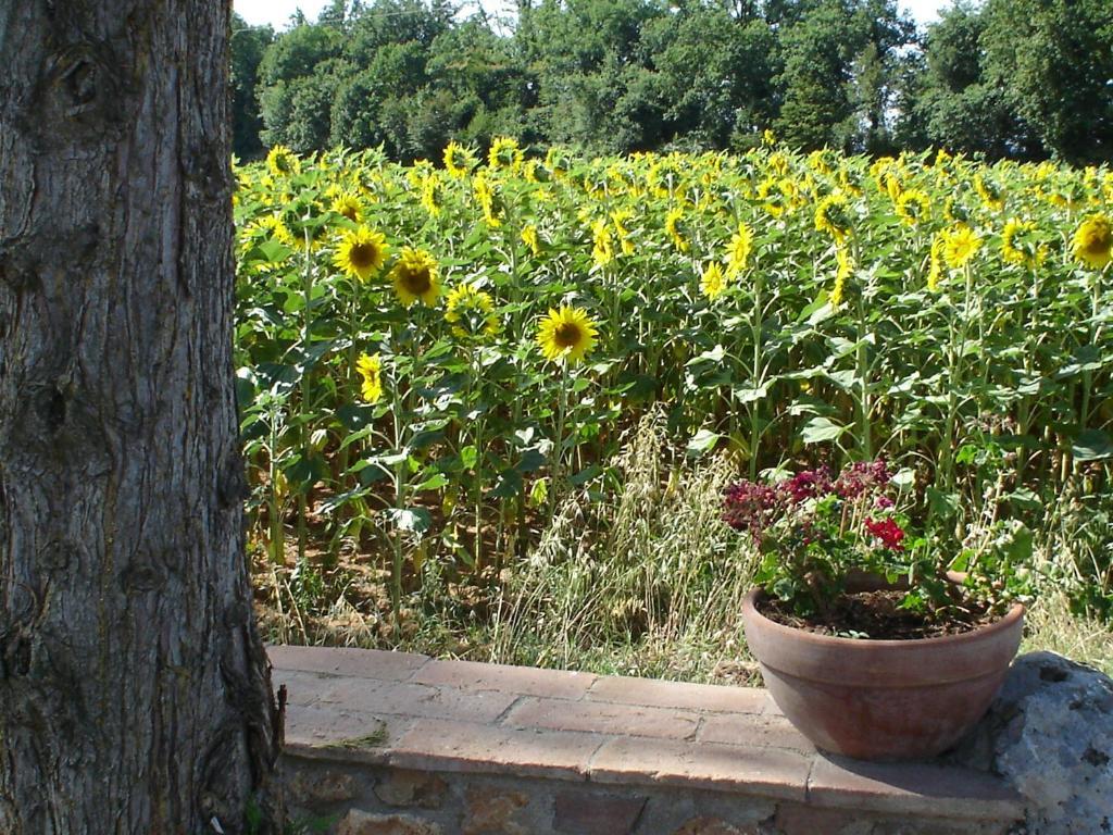 Maison d'hôtes Casale Il Colombaio Di Toiano à Valli Chambre photo