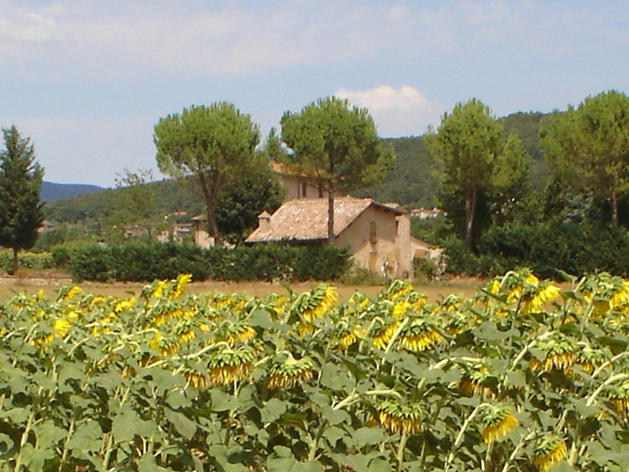 Maison d'hôtes Casale Il Colombaio Di Toiano à Valli Extérieur photo